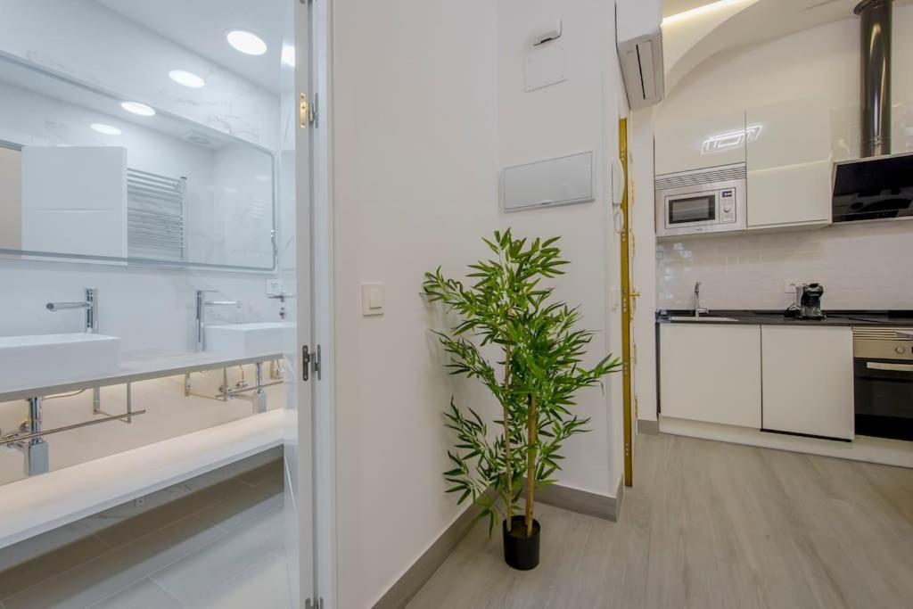 Suara 2 Appartement Madrid